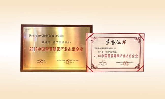 2018年11月-玩球体育公司荣获-2018中国营养健康产业杰出企业