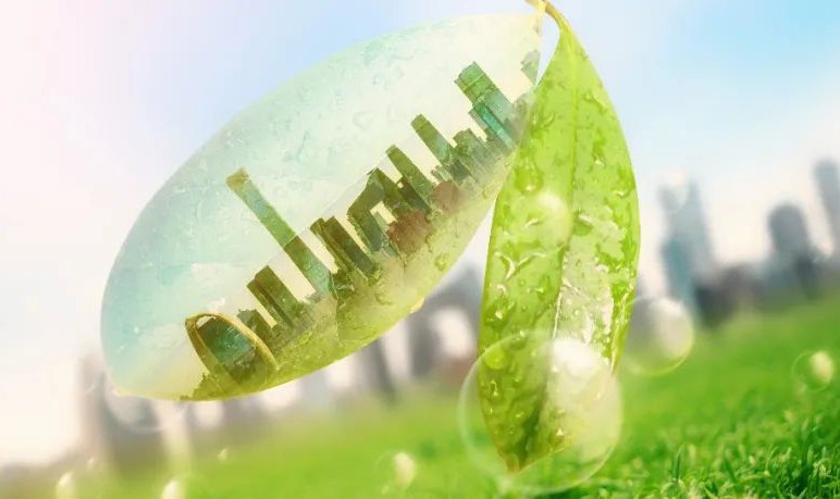 玩球体育这款产品，获国内首个碳中和保健食品认证！