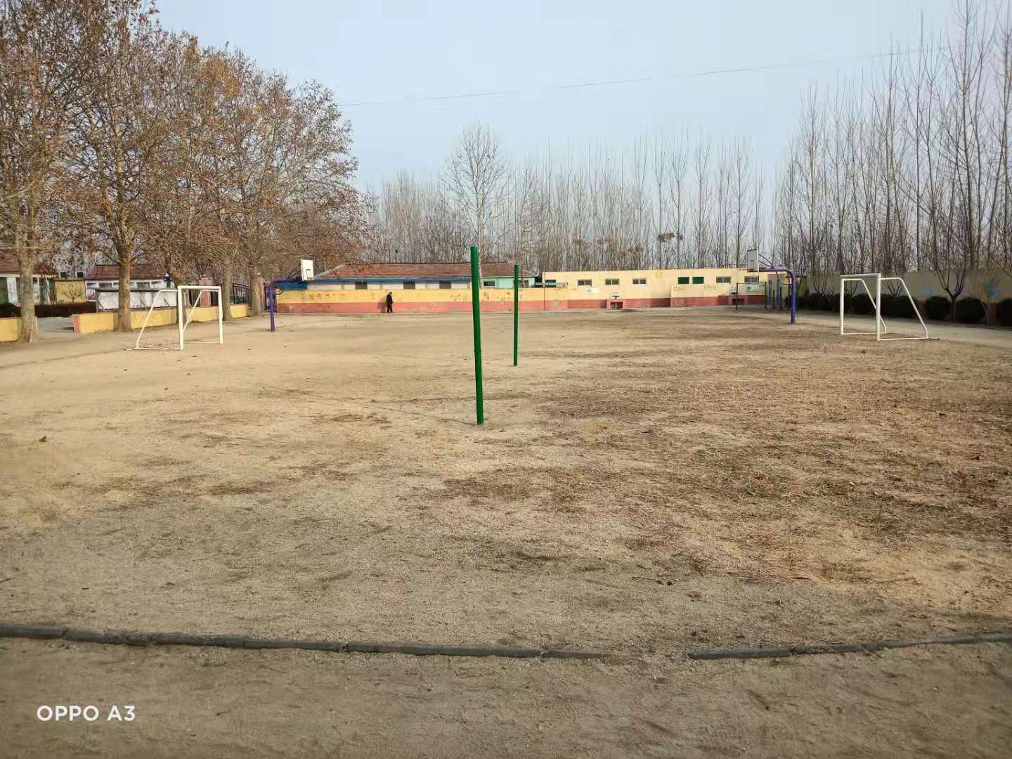 第209所 平度市崔家集镇状元府玩球体育刘丽新小学 第209所 平度市崔家集镇状元府玩球体育刘丽新小学